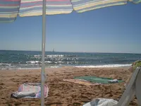 CIMG6178.webp