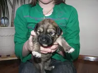 000_0130.webp