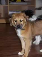 100_7483.webp