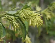 PA040476.webp
