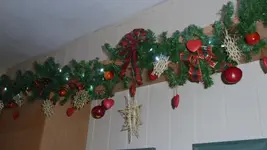 Bild 5.webp