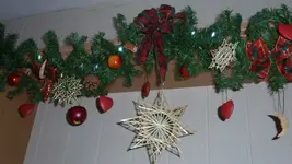 Bild 1.webp