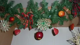 Bild 3.webp