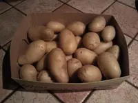 kanarische-kartoffeln-1.webp