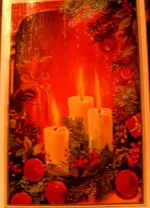 BILD0241.webp