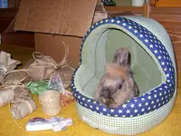008.webp