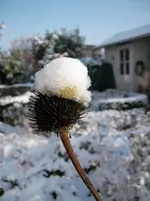 SANY1236lkm.webp
