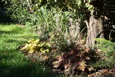 IMG_1547.webp