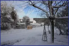 Winter.webp