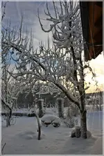 Winter (2).webp