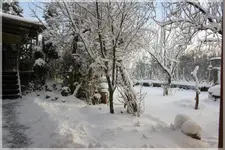 Winter (4).webp