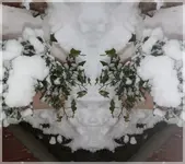Spielerei.webp