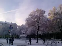 P101210_08.56.webp