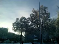 P101210_08.57.webp