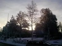 P101210_08.57_[01].webp