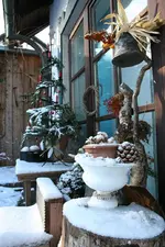dez 03.webp