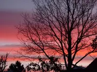P1060764_2.webp