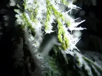 P1060754_2.webp