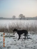 07.12.2010 041.webp