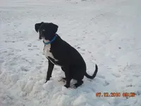 07.12.2010 048.webp