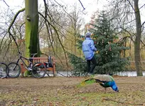 Weihnachtsbaum.webp