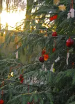 DetailWeihnachtsbaum.webp