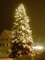 DSC00149.webp