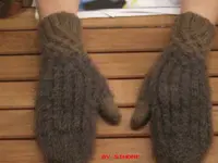 Fäustlinge.webp