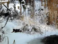 SDC12795.webp