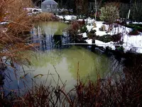 SDC12840.webp