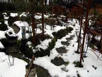 SDC12841.webp