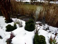 SDC12846.webp