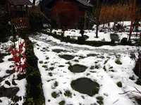 SDC12847.webp