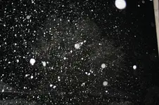 Schneegestöber.webp