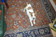 P1020332.webp