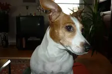 P1020339.webp