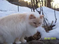 100_2301.webp