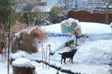 DSC03877-1.webp