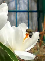CIMG5335.webp