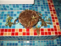 BILD0961.webp