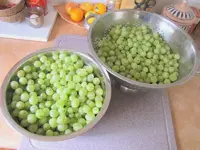 Stachelbeeren v.webp