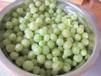 Stachelbeeren v (1).webp