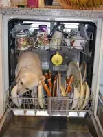 dishwasher L.webp