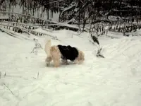 SDC12860.webp