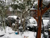SDC12871.webp