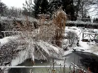 SDC12873.webp