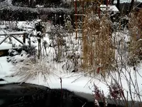SDC12878.webp
