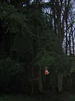 Christbaum 007.webp