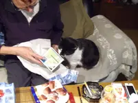 IMGP3328.webp