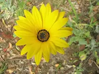 Oktober 10 564v.webp